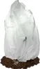 A plant covered with a frost protection cover, standing on mulch. Produktbild-Vorschau