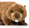 Carl Dick castoro di circa 30 cm, peluche 3638 Anteprima dell’immagine prodotto 5