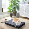 A dog is resting on a dog bed in a room with plants and furniture. Náhľad obrázku produktu