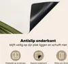 KitchenYeah© Herdabdeckplatte Palmwedel - Grün - Natur , Produktbild-Vorschau 4