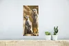 MuchoWow® Poster Felsen - Erdmännchen - Tiere 20x40 cm - Produktbild-Vorschau 5