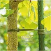 CampAir Paracord Seil aus reißfestem Nylon Produktbild-Vorschau 7