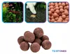 Duengerkugeln íl-rašelina akvárium 1 kg cca 200 kusov Náhľad obrázku produktu 10