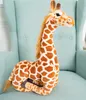 Gustaw Miś Żyrafa Duży XXL (Wielokolorowy, 55cm) - pluszowy Podgląd zdjęcia produktu 3