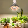 A grow light illuminates a collection of potted plants. Anteprima dell’immagine prodotto