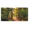 MuchoWow® Mauspad Mousepad Wald - Weg - Bäume - Grün - Produktbild-Vorschau 1