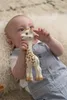 Sophie La Girafe So´pure Bites Beißring Mit Geschenkbox Produktbild-Vorschau 12