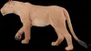 Mojo 387175 leonessa Animal Planet (1 pezzo) Anteprima dell’immagine prodotto 8