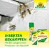 Wespen an Hauswand Hinweis auf Insektenbekämpfung mit Neudorff Produkten gegen Wespen und Insekten Produktbild-Vorschau