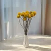 Craspedia - (Natürliche Extra Craspedia) - Bouquet mit 15 Produktbild-Vorschau 3