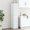 A white apothecary cabinet in a kitchen setting. Anteprima dell’immagine prodotto