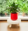 A small potted plant in a red pot sits on a wooden plant stand in front of a window with greenery outside. Produktbild-Vorschau