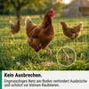 Zemědělská zóna Síť na drůbež 50 m x 112 cm, dvojitý hrot, Náhled obrázku produktu 3