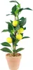 Künstlicher Zitronenbaum h45cm Produktbild-Vorschau 4