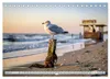 Ostsee Momente (Tischkalender 2027 DIN A5 quer), CALVENDO Produktbild-Vorschau 9