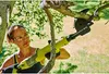 Ryobi OLP1832BX Astschere 18 V ONE+ 32 mm 150 kg/m 250 Nm Produktbild-Vorschau 15