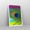 Poster - Poster ohne Rahmen - Pfauen Federn Regenbogen - Produktbild-Vorschau 7
