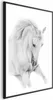 Posterpapier Poster - White Horse 21x30 cm Tiere Produktbild-Vorschau 1