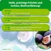 Purgrün -Feigendünger 1 Liter Produktbild-Vorschau 3