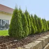 Gardena 
štartovacia sada pre rastliny v riadkoch L, Náhľad obrázku produktu 9