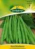 Buschbohne Saxa | Buschbohnensamen von Quedlinburger Produktbild-Vorschau 1