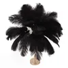 Lampa stołowa Feather 3 kolory Ściemnialny przełącznik Podgląd zdjęcia produktu 4