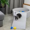 A small rabbit is on a ramp next to a ball pit. Anteprima dell’immagine prodotto