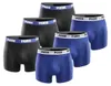 M|PUMA Basic Boxer Herren Boxershorts 6er-Pack Produktbild-Vorschau 2