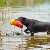 Beeztees Wassereis - Hundespielzeug - Neopren - 43x18x9 cm Produktbild-Vorschau 3