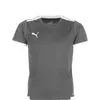 Puma Teamliga Trikot Kurzarm Kinder - Grau / Weiß Produktbild-Vorschau 7