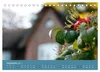 Föhr 2027. Porträt einer Insel (Tischkalender 2027 DIN A5 Produktbild-Vorschau 11