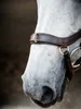 Uzdečka Horseware Micklem II Multi, velikost:Thoroughbred, Náhled obrázku produktu 3