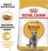 Royal Canin British Shorthair, Dorosły, Brytyjski Podgląd zdjęcia produktu 1
