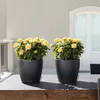 LECHUZA-Pflanzgefäß CLASSICO Color 18 Schiefergrau | Produktbild-Vorschau 3