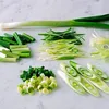 Mandolina Affettatrice Verdure con 3 Lame Inox – Anteprima dell’immagine prodotto 6