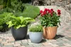 Scheurich Firenze 60, Pflanzgefäß/Blumentopf/Pflanzkübel, Produktbild-Vorschau 10