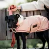 A black dog wearing a pink coat is sitting on a wooden bench, with a person's arm resting on the bench behind it. Produktbild-Vorschau