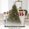 Triumph Tree Bristlecone Weihnachtsbaum - Weihnachten Produktbild-Vorschau 4
