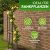 Halbbogen schwarz 120x240 cm 40 cm tief Rosenbogen für Produktbild-Vorschau 2