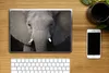 MuchoWow® Laptop Aufkleber Sticker Cover Nahaufnahme eines Produktbild-Vorschau 2