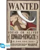Plakát One Piece Wanted Bělovous 61x91,5cm Náhled obrázku produktu 2