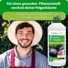 Purgrün -Feigendünger 1 Liter Produktbild-Vorschau 2