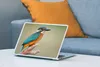 MuchoWow® Laptop Aufkleber Sticker Cover Vogel - Eisvogel - Produktbild-Vorschau 4