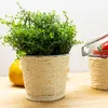 Sisal Seil 200 Meter Rankhilfe für Garten Rankgitter Produktbild-Vorschau 6
