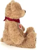 Teddy-Hermann TEDDY CHILLY MIT ROT 40CM 40CM Anteprima dell’immagine prodotto 3