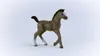 schleich HORSE CLUB 13957, 5 rok/roky, Horses, Hnědá Náhled obrázku produktu 8