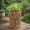 Blumentopf aus echter Korkrinde 35cm Natur Übertopf Produktbild-Vorschau 6
