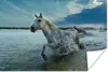 MuchoWow® Poster Pferd - Wasser - Tropfen 120x80 cm - Produktbild-Vorschau 1
