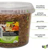 A clear plastic bucket filled with dried mealworms, with a label on the front and marketing text on the right side. Produktbild-Vorschau