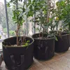 Multipack 6ks Grow Bag 8L textilný kvetináč Náhľad obrázku produktu 2